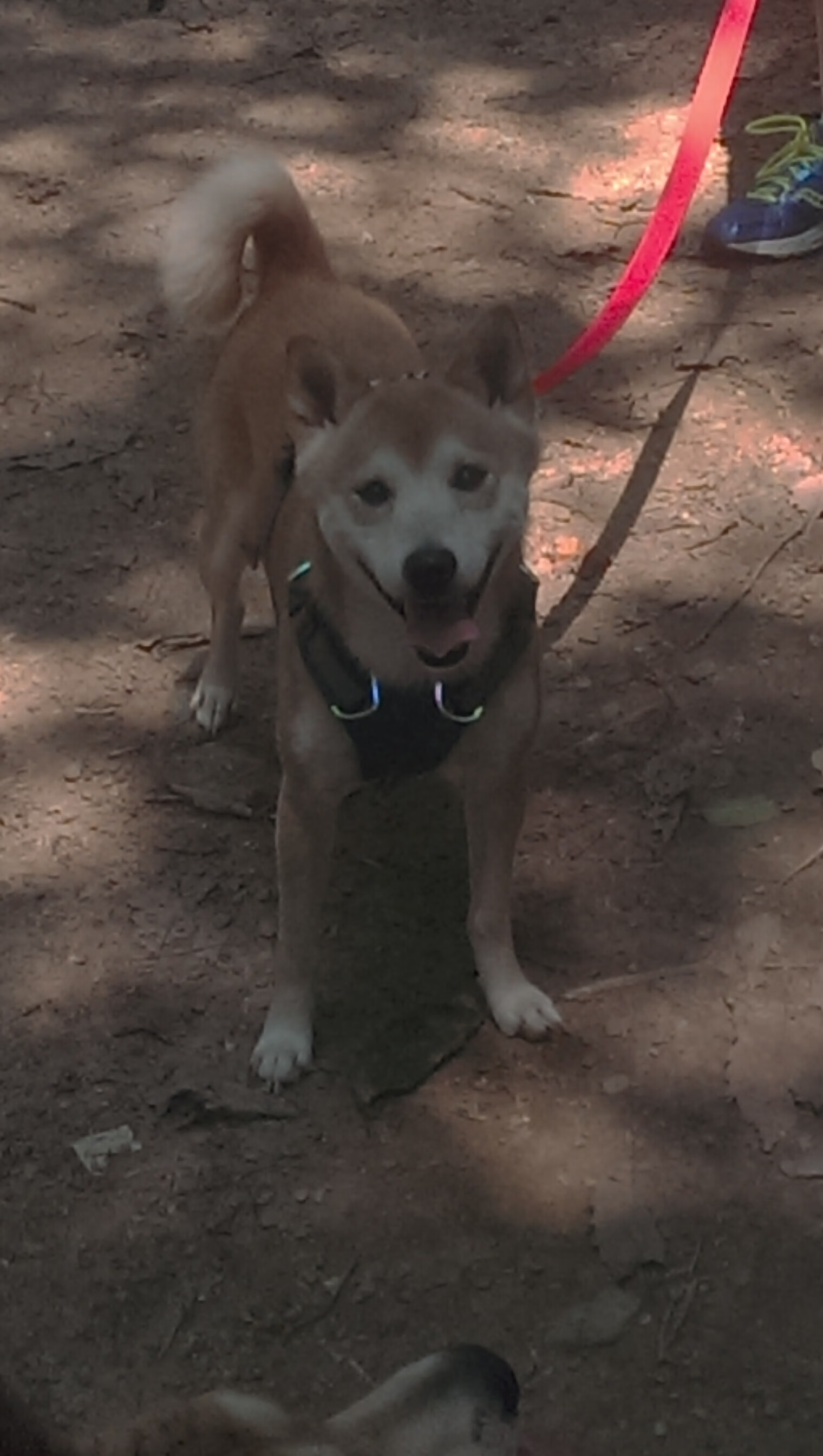 开yun官网-中超球队传控打法下失误转丢球比例统计,中超转播计划 第3张 开yun官网-中超球队传控打法下失误转丢球比例统计,中超转播计划 第3张