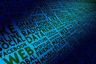 开云体育下载-体育社会组织自律机制与评估标准构建，体育社会组织的作用