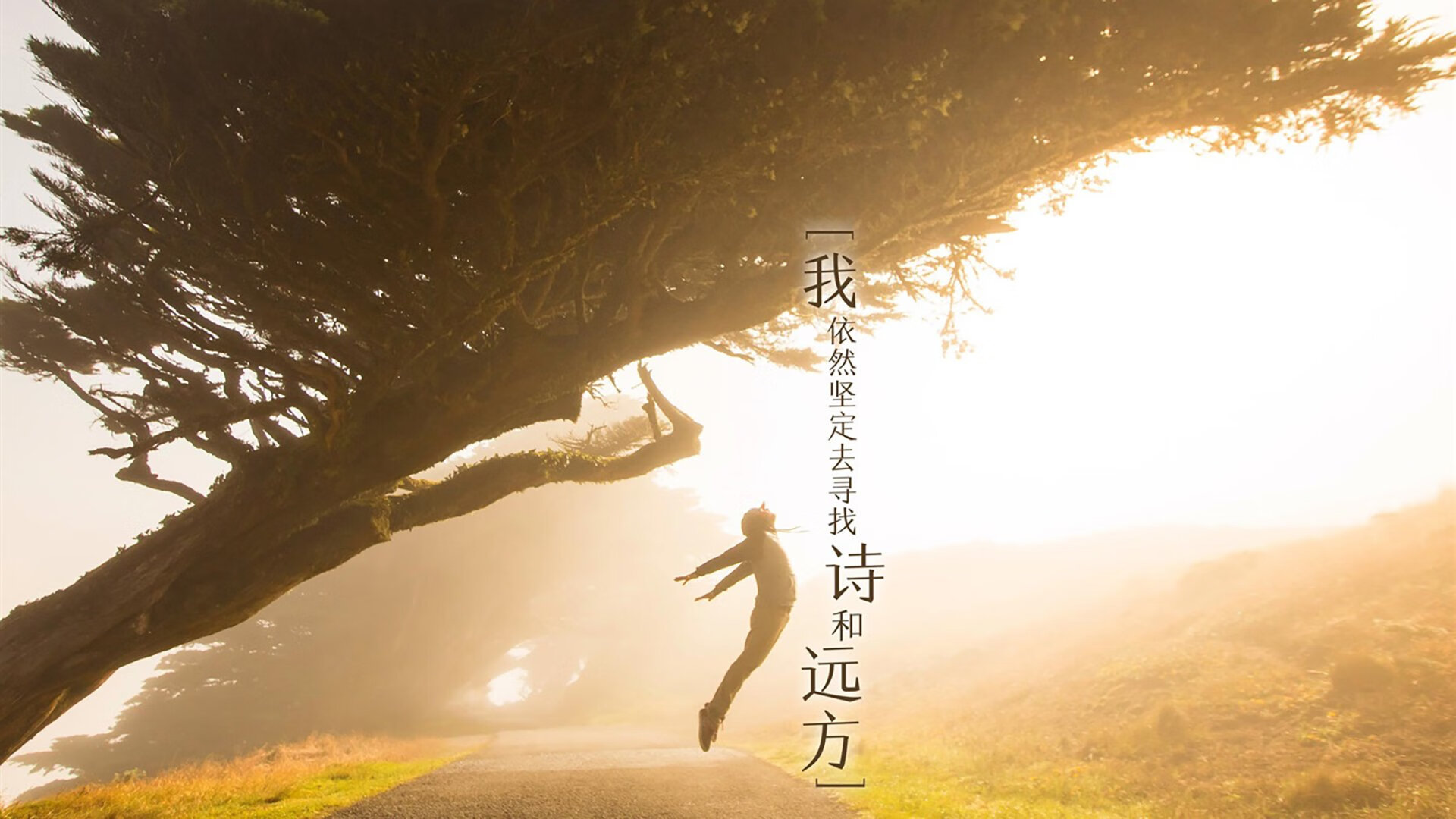 开云体育登录入口-校园体育文化对学生心理健康促进，校园体育文化建设对于塑造大学生的健康体质和完整人格