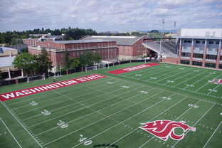 开云体育app注册-法甲联赛可持续环保运动场地建设实践