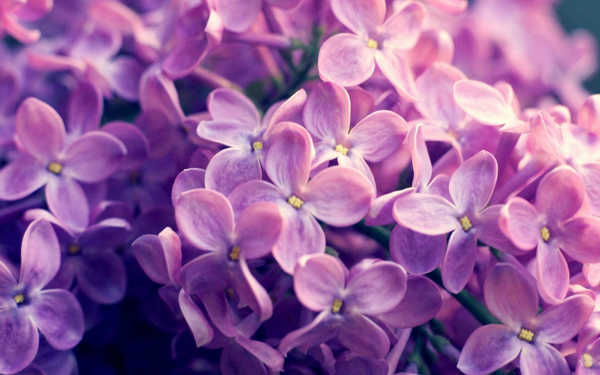 开云体育官网登入-篮球运动员专项体能训练体系设计,篮球运动员专项体能训练体系设计方案 第4张 开云体育官网登入-篮球运动员专项体能训练体系设计,篮球运动员专项体能训练体系设计方案 第4张