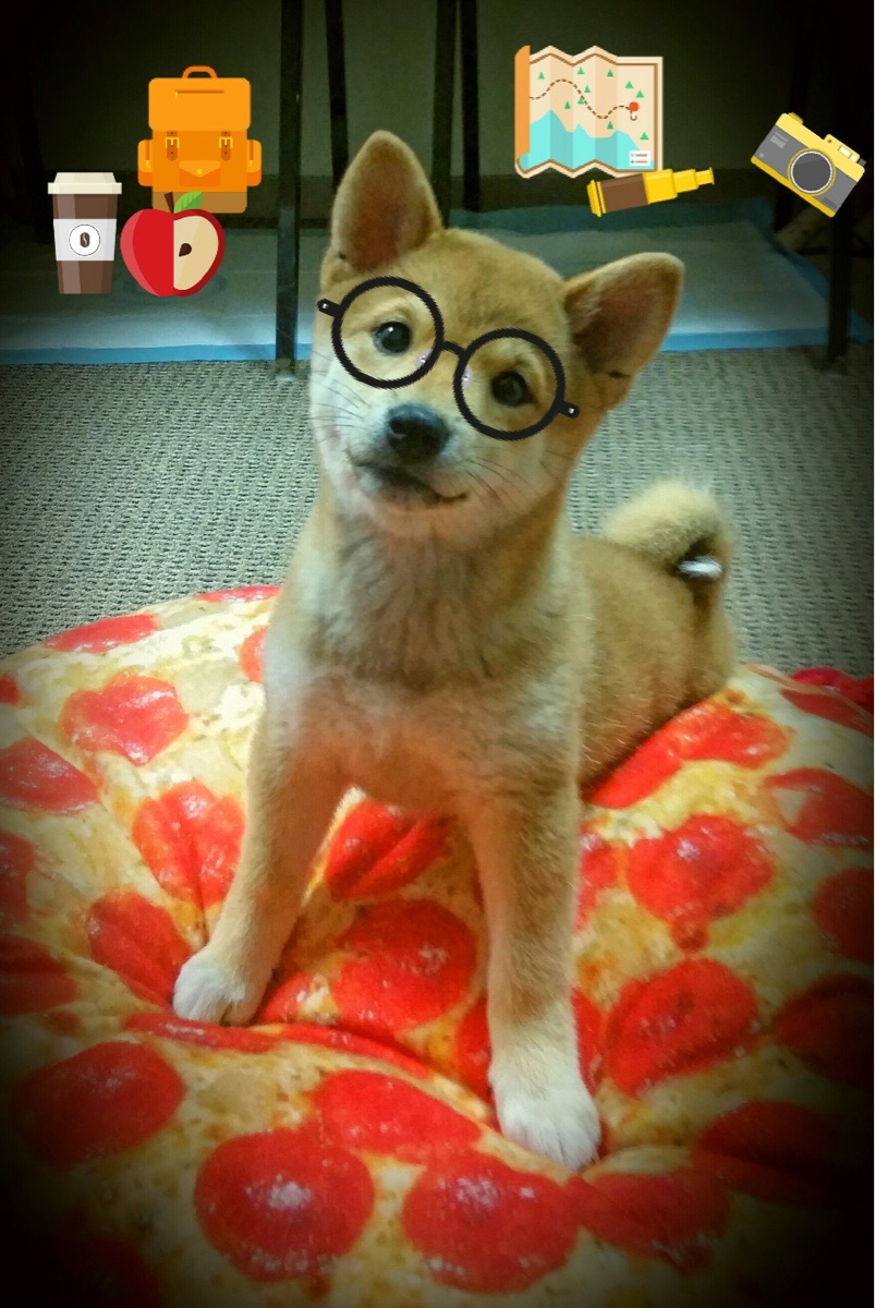 开云体育链接-运动干预对青少年睡眠质量提升作用研究,运动干预对青少年睡眠质量提升作用研究的意义 第2张 开云体育链接-运动干预对青少年睡眠质量提升作用研究,运动干预对青少年睡眠质量提升作用研究的意义 第2张