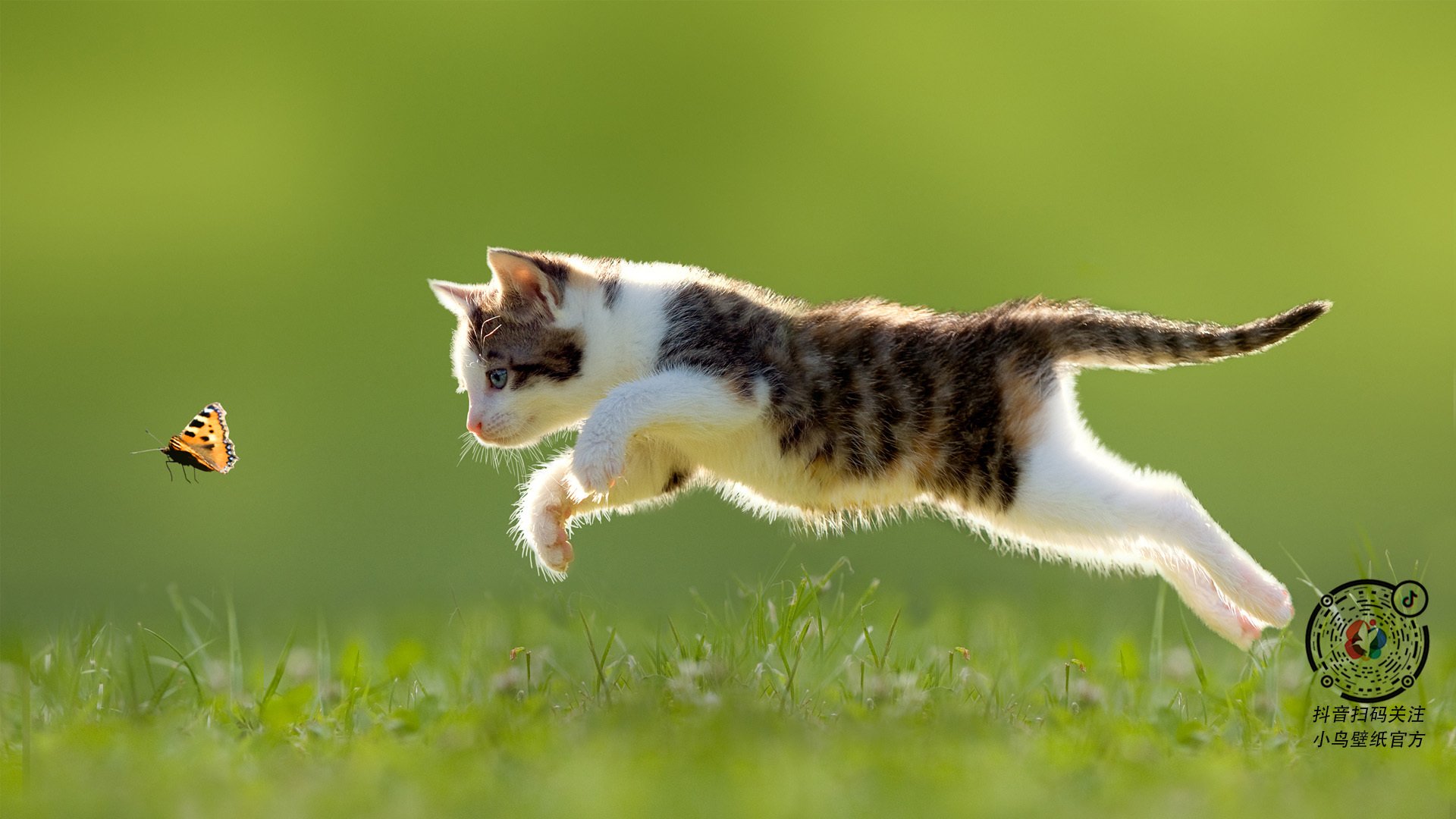 开云官方网-CBA联赛推进裁判职业化培训机制，2021篮球裁判员培训报名