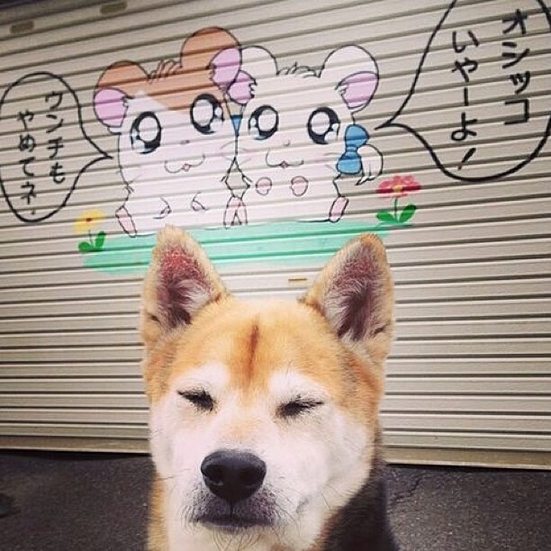 开云官方网-Chinese Taipei：科技助力下的未来体育发展趋势，未来体育是台湾的吗