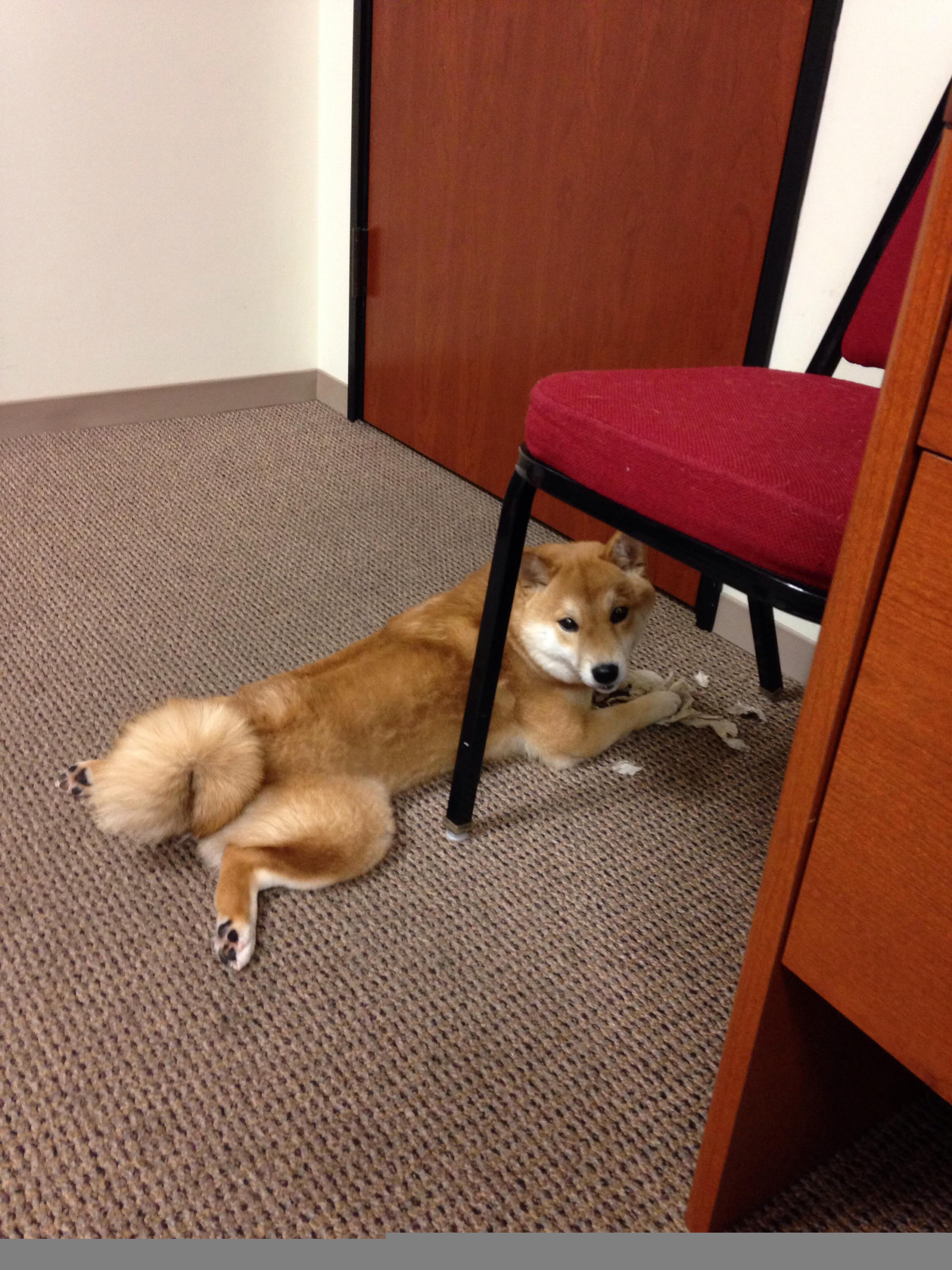 开云体育app下载-“滑轮赛场惊现黑马,成都新秀演绎完美逆袭” 第2张 开云体育app下载-“滑轮赛场惊现黑马,成都新秀演绎完美逆袭” 第2张