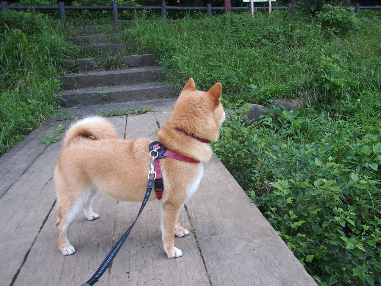 开云体育官网登入-兴隆湖边文旅节同步开启，热闹非凡，兴隆湖景点