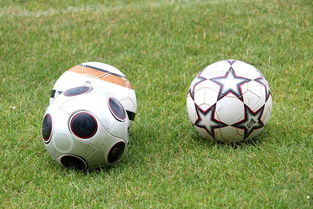 开云体育娱乐-基层足球俱乐部资金短缺,基层足球俱乐部资金短缺的原因 第1张 开云体育娱乐-基层足球俱乐部资金短缺,基层足球俱乐部资金短缺的原因 第1张