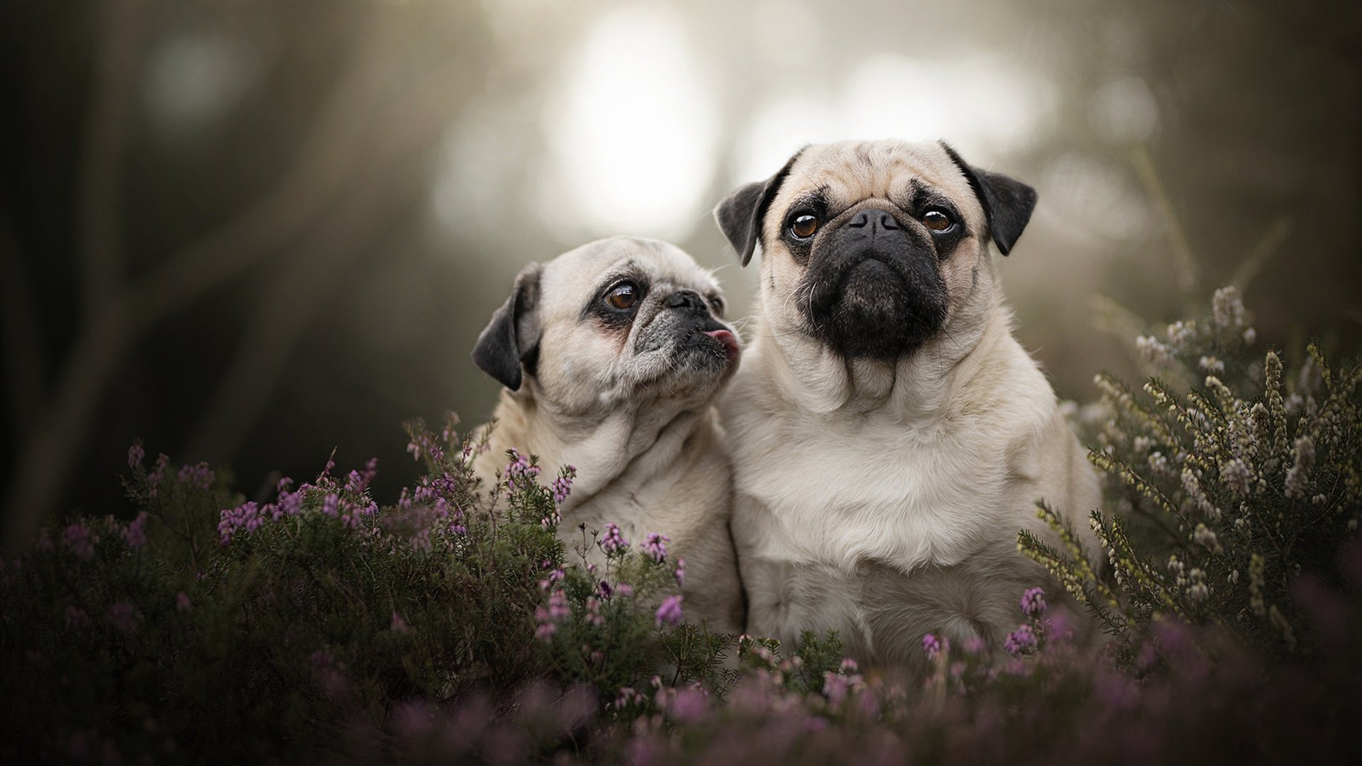 kaiyun网址-控卫如何阅读比赛节奏做出选择，控卫 sg