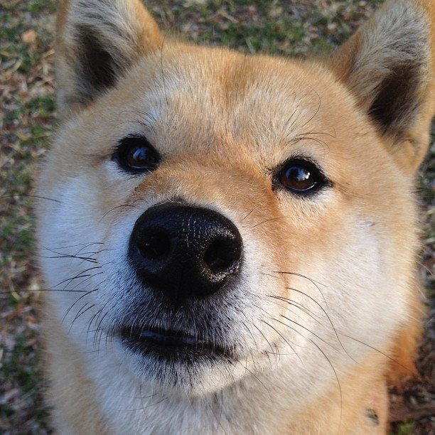 开云体育app入口-花样滑冰配乐比赛提高艺术表现评分权重，花样滑冰好听的配乐