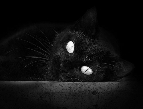 开云体育登录入口-凯恩·瑞安：全黑队的战术引擎，让球队进攻更具组织性，凯恩we