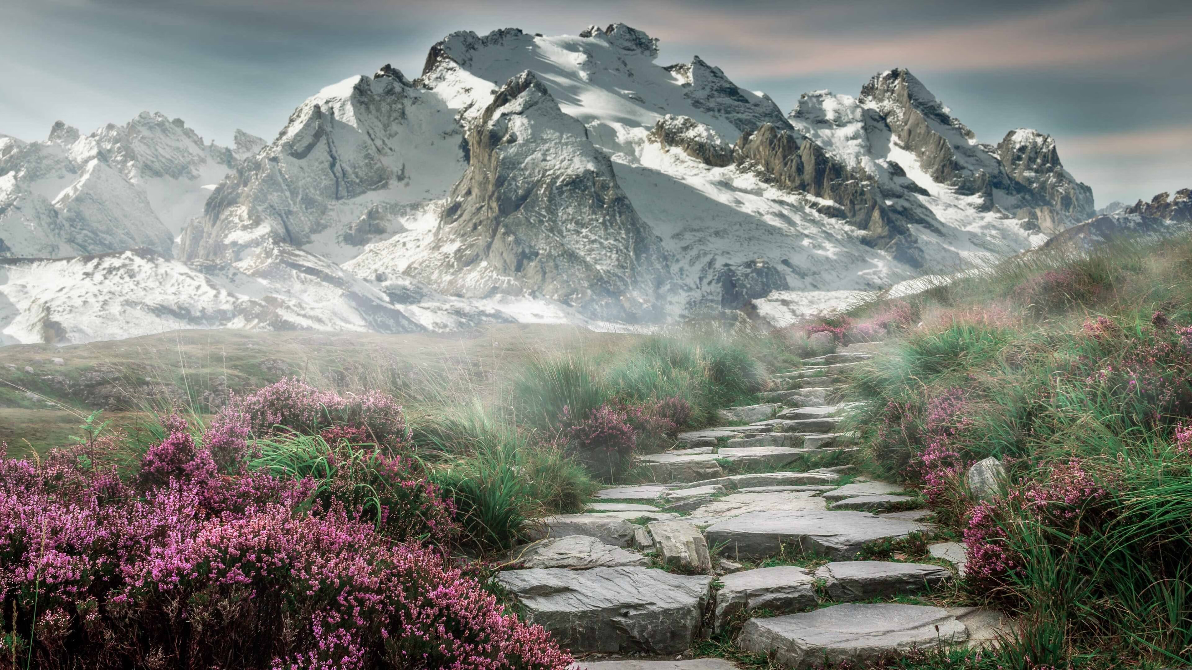 开云体育网站-布克三分准星回暖太阳主场豪取五连胜,布克三分球大赛记录