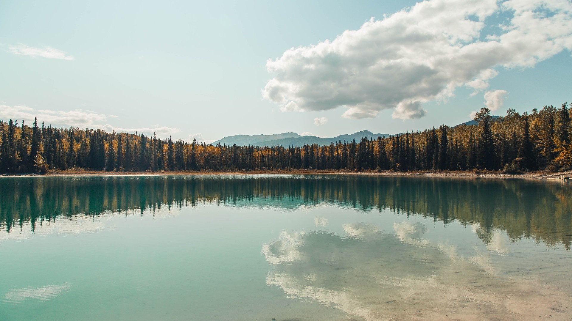开云ky官网-库里开设公益训练营扶持低收入学生,库里做慈善有哪些