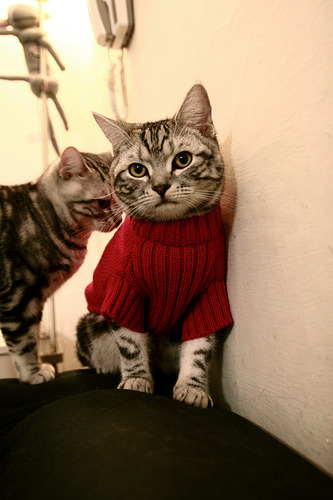 开云体育在线-法甲宿敌激战:攻守之间的精彩博弈,法甲宿敌激战_攻守之间的精彩博弈是什么