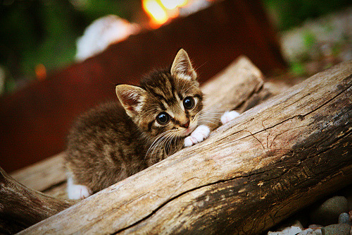 开云体育官网-Clark 冷静应对比赛压力