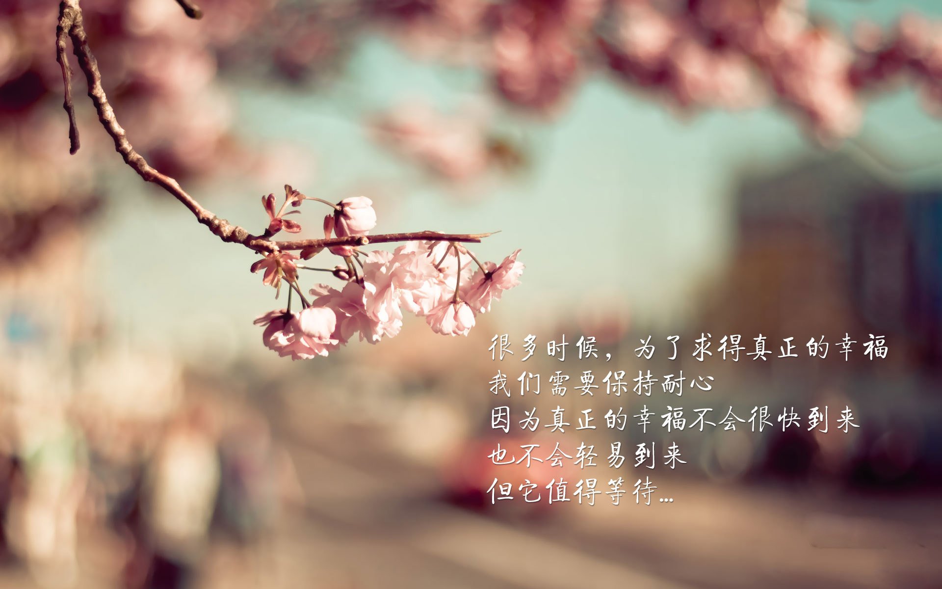 开云体育在线入口-中国篮球如何通过线上平台扩大基层球员展示机会，线上篮球培训